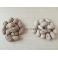 2020 New Crop High Quality Pecan Nuts